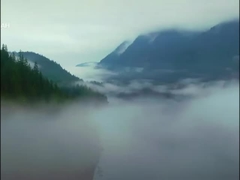 Voyah gratuito SUV auto elettrica