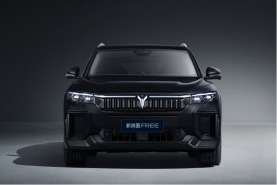 Dongfeng FREE versione 2025 318KM SUV da medio a grande, CLTC gamma completa 1458KM